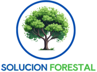 SOLUCION FORESTAL